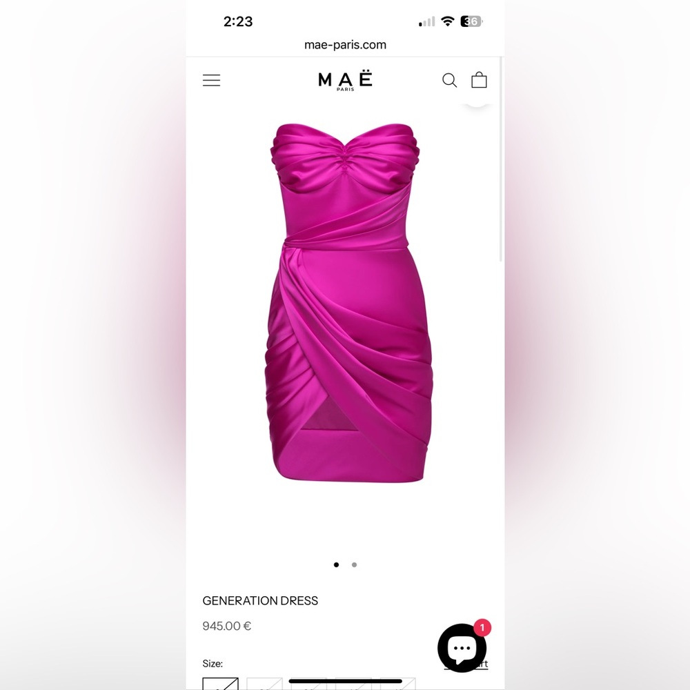 MAE Paris silk dress! Retails for 1000